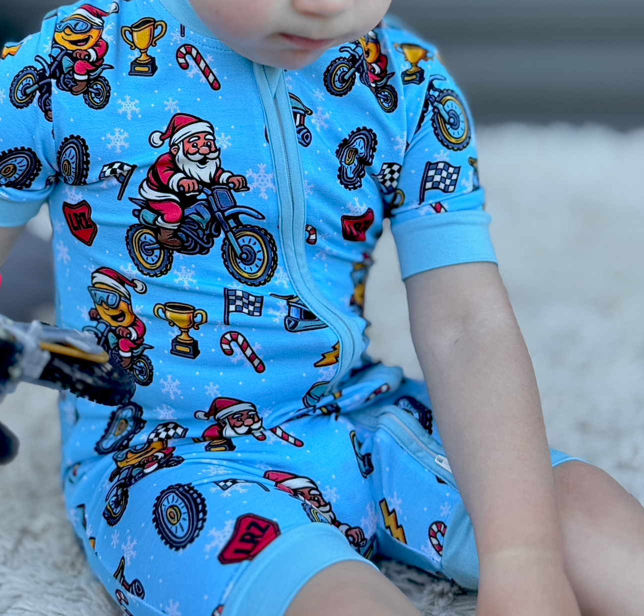 Blue Snowflake Zippy
